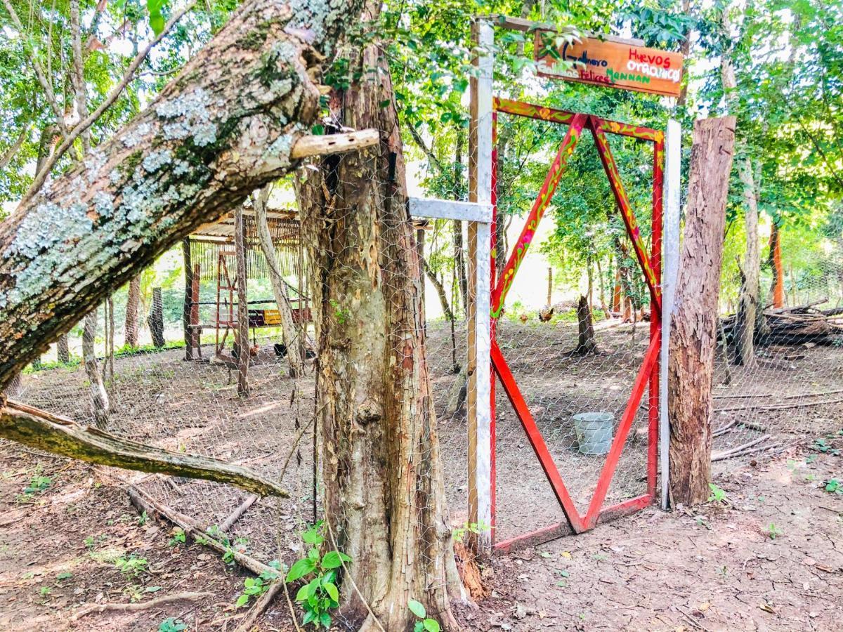 Tanchachín Cabanas Mannan المظهر الخارجي الصورة