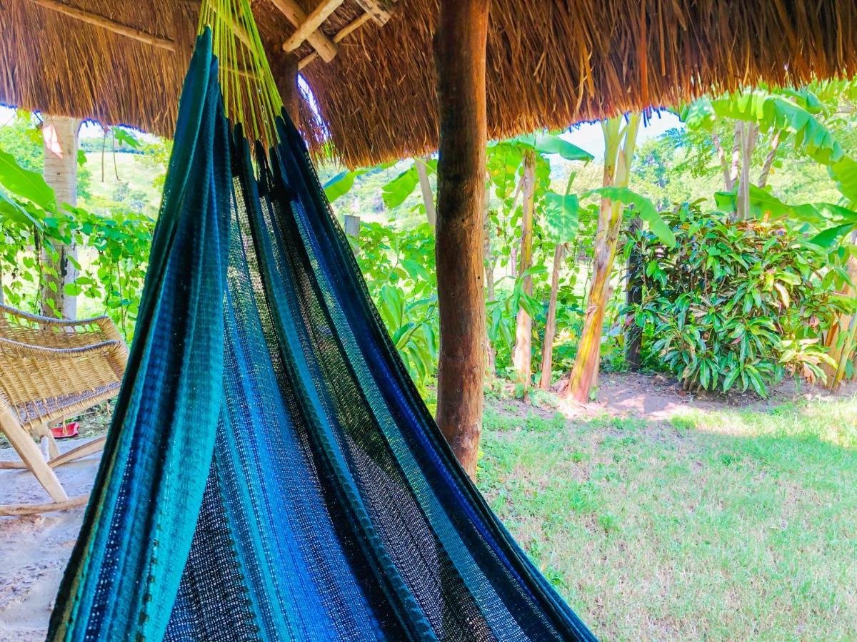 Tanchachín Cabanas Mannan المظهر الخارجي الصورة