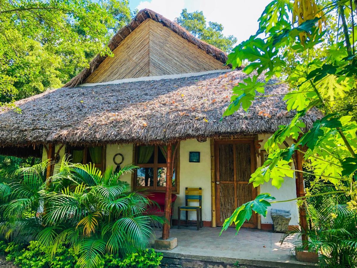 Tanchachín Cabanas Mannan المظهر الخارجي الصورة