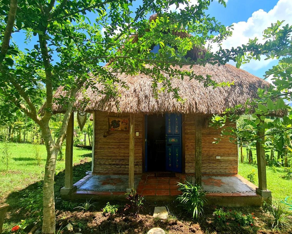 Tanchachín Cabanas Mannan المظهر الخارجي الصورة