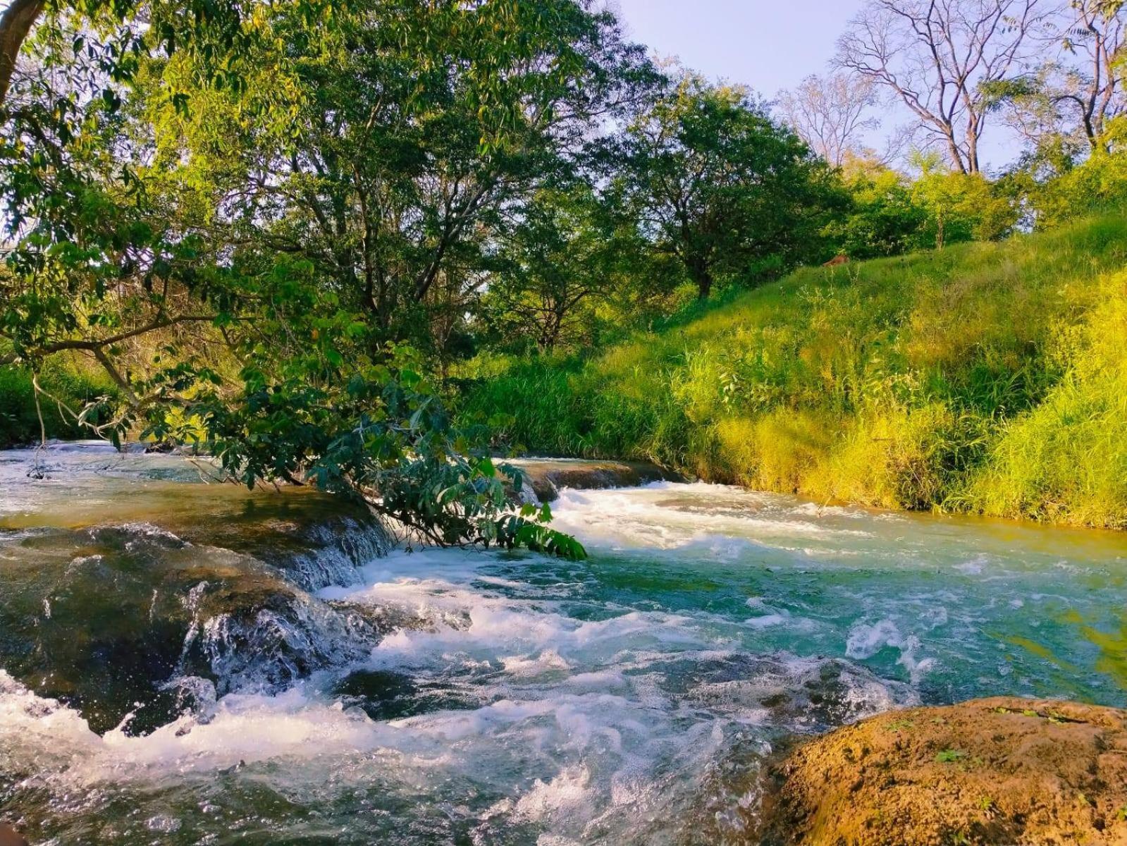 Tanchachín Cabanas Mannan المظهر الخارجي الصورة